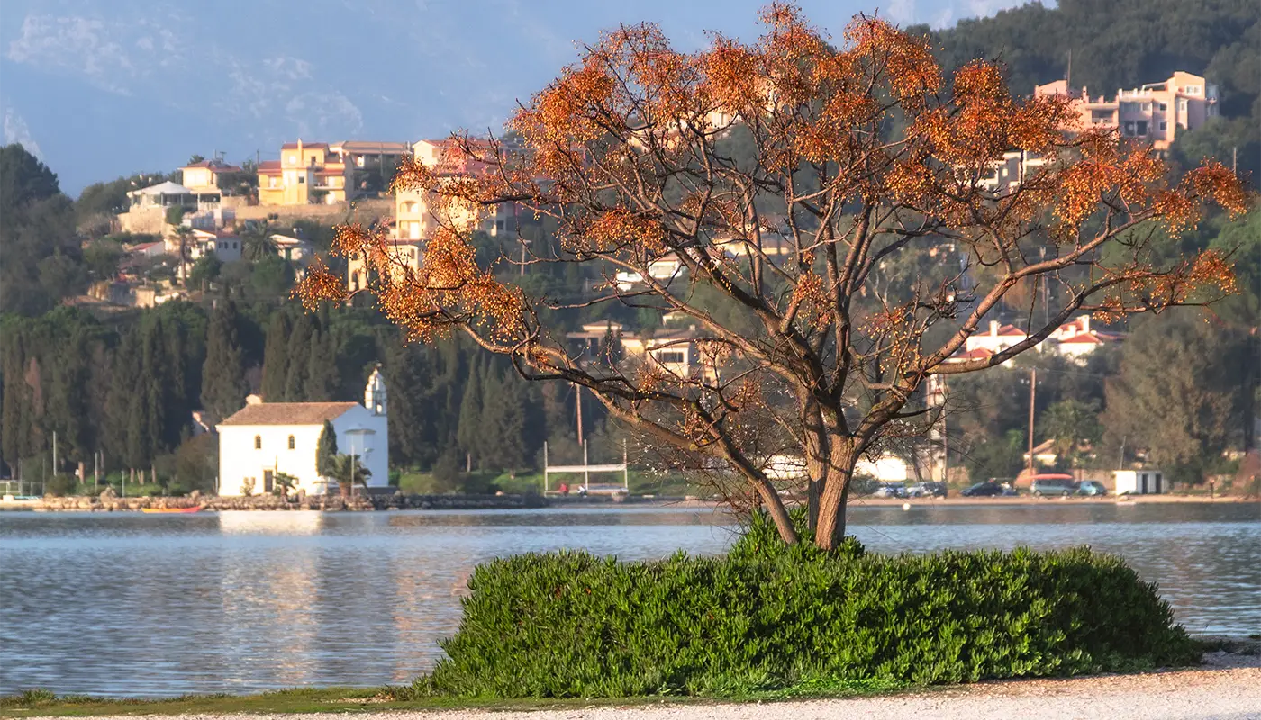 Το γραφείο της Corfu Transfers & Tours στον δρόμο προς Παλαιοκαστρίτσα, έξω από την πόλη της Κέρκυρας